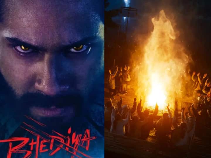 रोंगटे खड़े कर देने वाला है 'Bhediya' फिल्म का टीजर, वरुण धवन एक खतरनाक अवतार में दिखाई दिये !