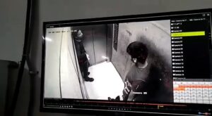 कुत्तों का आतंक, गाजियाबाद के बाद अब नोएडा में पालतू कुत्ते ने लिफ्ट में युवक को काटा- Watch video